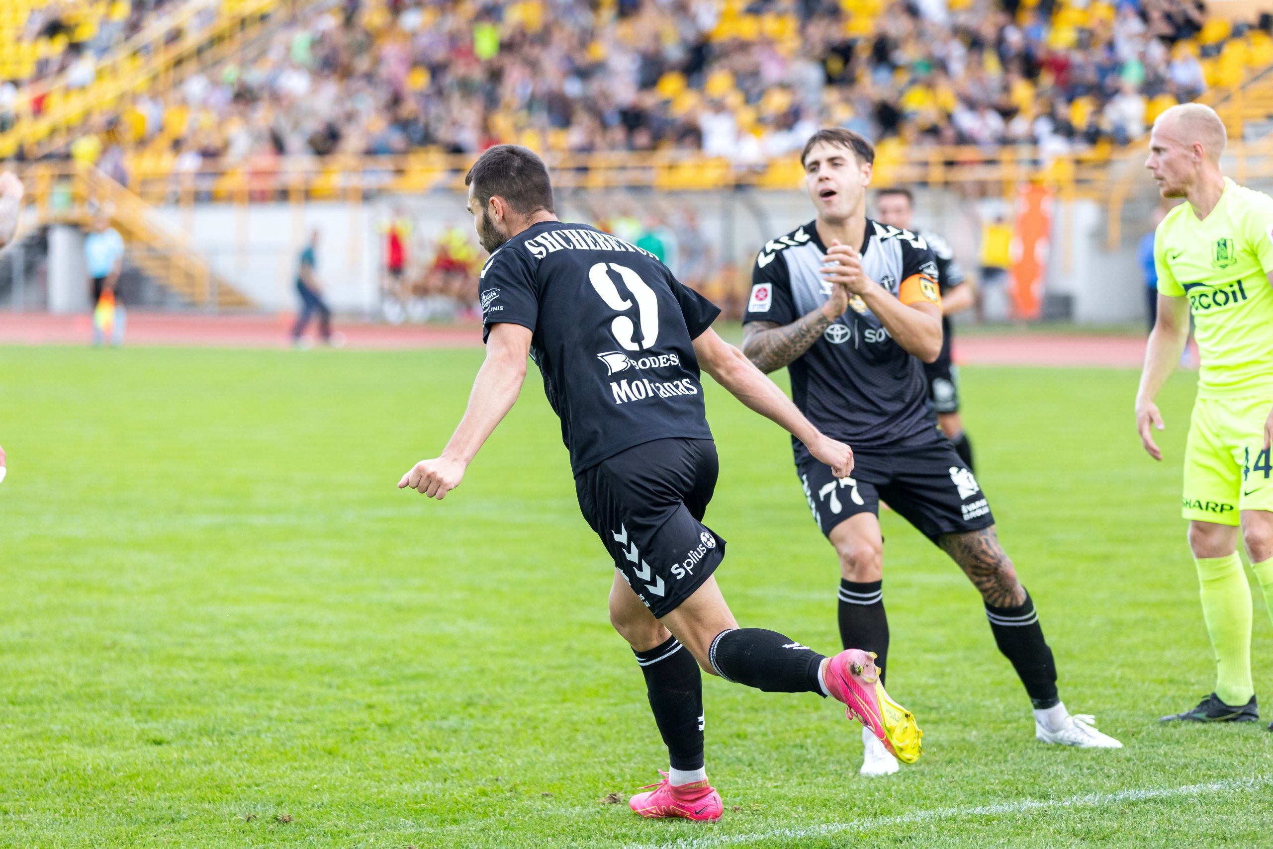 Read more about the article Namuose ir toliau neįveikti